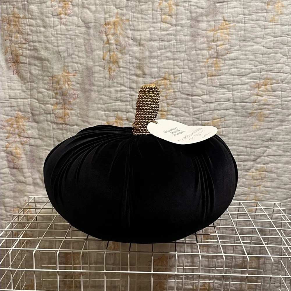Threshold Black Velvet Pumpkin with Gold Stem